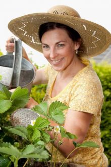 Urlaub auf dem Bauernhof und Ferien auf dem Bauernhof in Rheinland-Pfalz