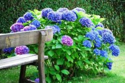 Herbizide, Glyphosat und UNkrautvernichter