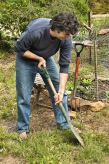 Unkraut im Garten zu erkennen ist manchmal gar nicht so leicht