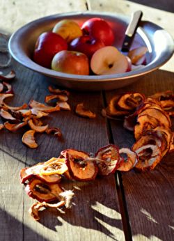 Obstdörrung Obst haltbar machen