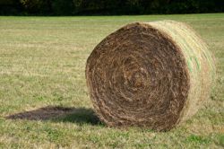 Heu im Rundballen nach dem Pressen