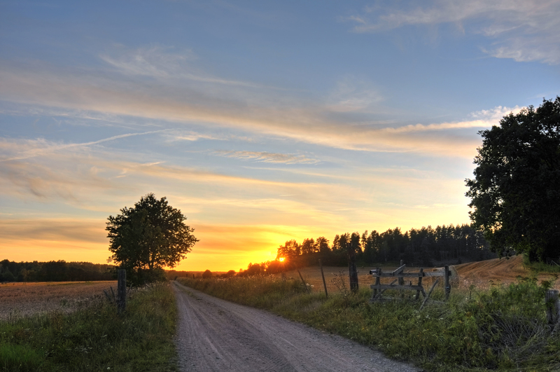 Pflanzenschutzmittel bestellen und online Versand