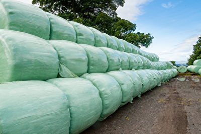 Silage im Rundballen