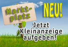 Kleinanzeige aufgeben oder suchen