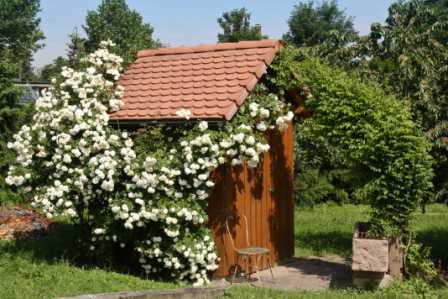 Schädlingsbekämpfung