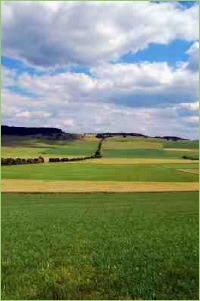 Bodenpunkte geben Aufschluss über die Bodenqualität