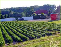 Ackerbau und Landwirtschaft