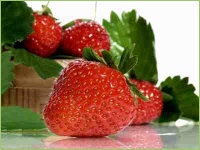 Das Wissen um die richtigen Bodenbestandteile läßt tolle Früchte wachsen