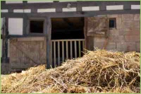 Stallmist als natürlicher Dünger