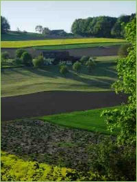 Die Fruchtfolge spielt gerade bei Selbstversorgern eine große Rolle