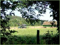 Arbeiten auf dem Bauernhof