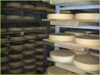 Käse selbst herstellen auf dem Bauernhof