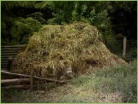 Kompost als natürlicher Dünger