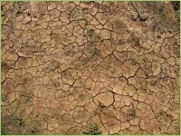 Lehmboden bedarf besonderer Sorgfalt bei der Bewirtschaftung