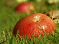 Obstbau auf dem Bauernhof