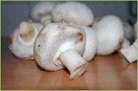 Champignon auf dem Bauernhof