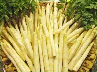 Spargel