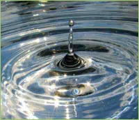 Wasser stellt neben vielen Stoffen und Elementen einen wichtigen Wachstumsfaktor für Pflanzen dar.