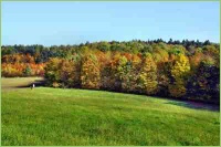 Gepflegte Wiesen für Heu und Silage