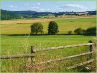 Gesunde Wiesen gut gedüngt