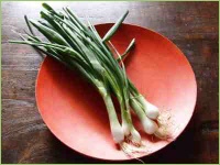 Schalotten und Lauchgewächse aus dem Garten