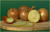 Zwiebeln aus dem Garten