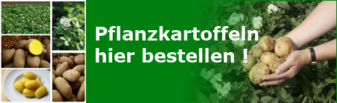 Saatkartoffeln und Pflanzkartoffeln bestellen und kaufen