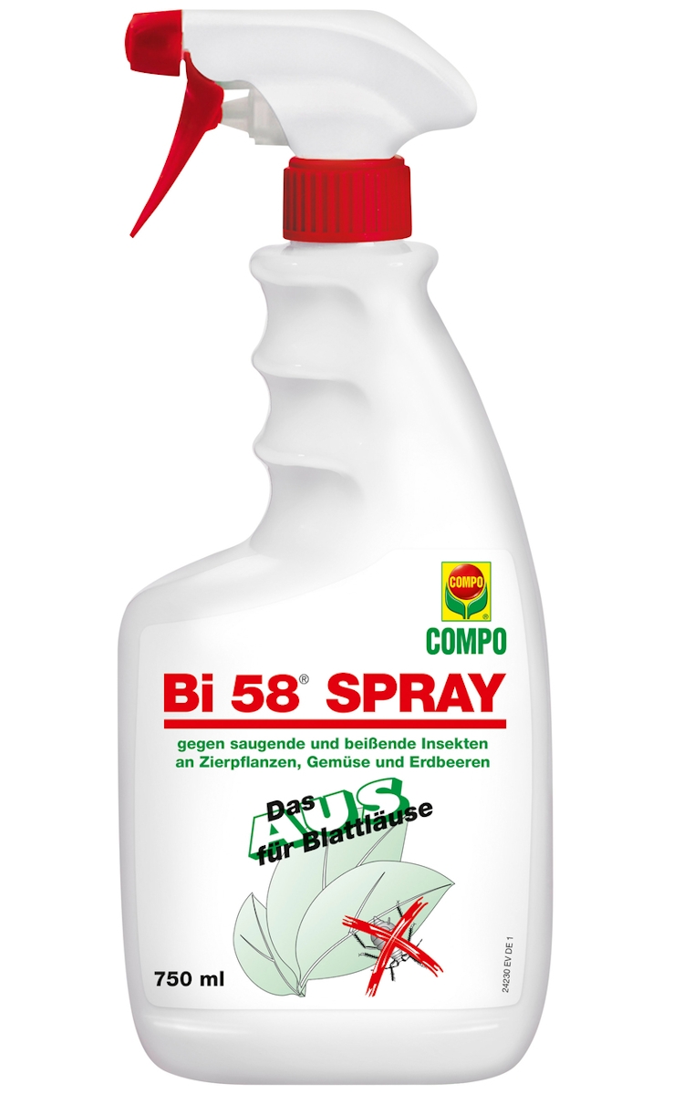 Bi 58® Spray N 